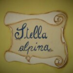 Camera Stella Alpina