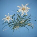 Camera Stella Alpina